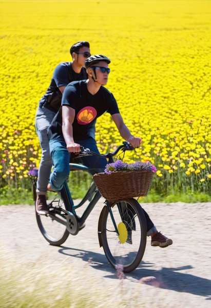 Bright flower fields behind people on bike