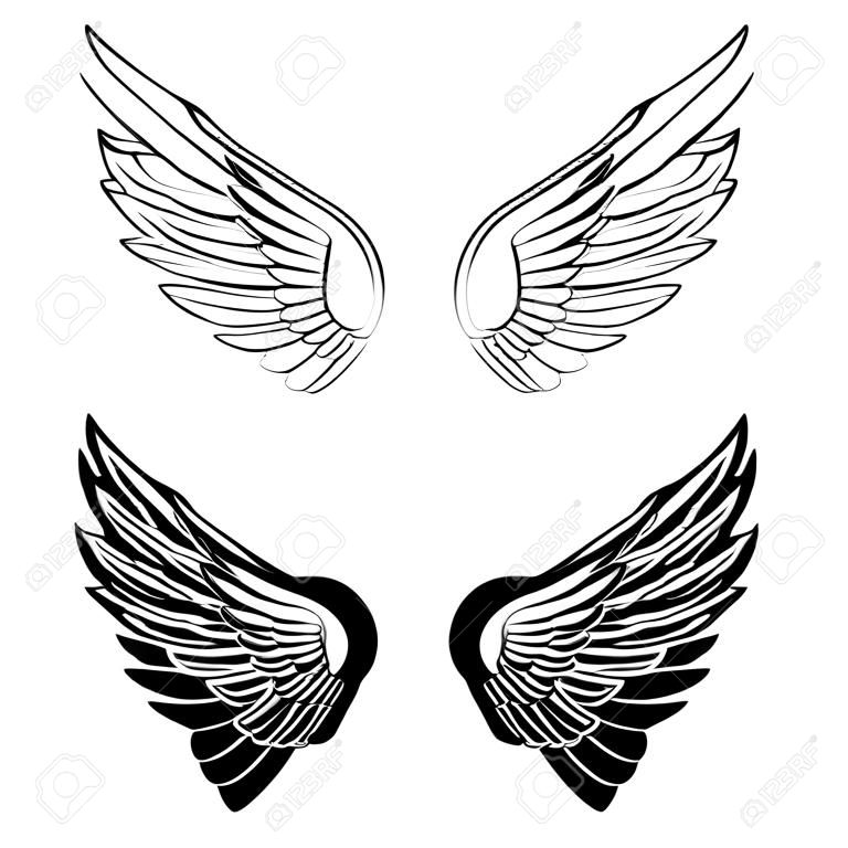 set of wings isolated on white