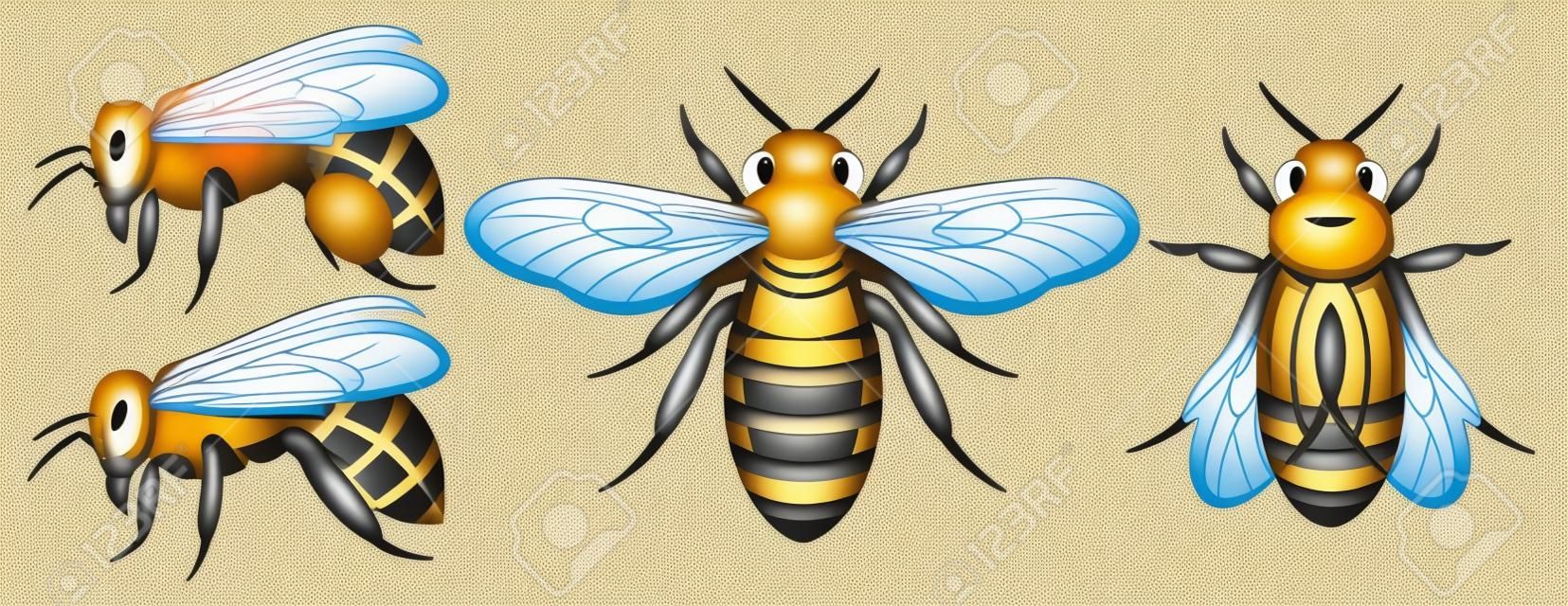 Set of different bees. Design elements. Colored vector illustration.