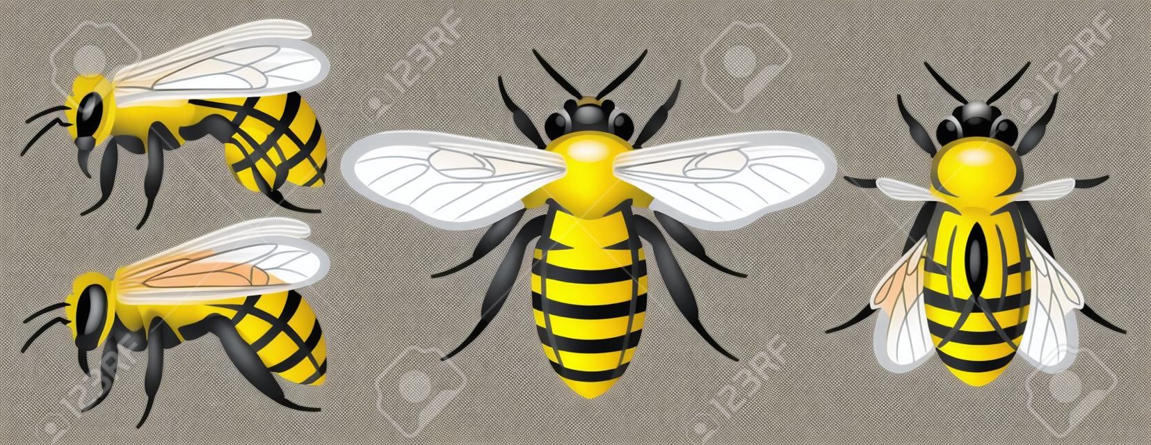 Set of different bees. Design elements. Colored vector illustration.