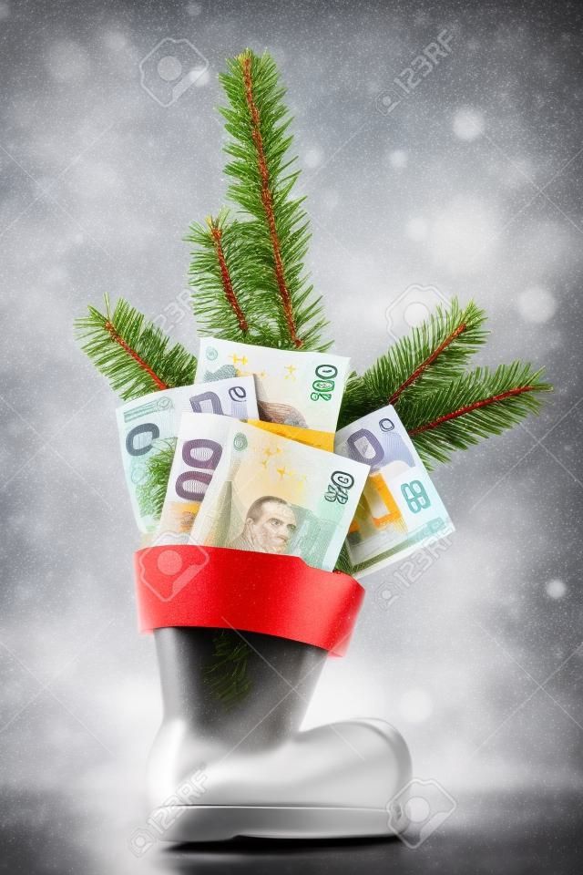 red and white St Nicholas boat with euro banknotes and a branch of a fir. Business concept for christmas bonus or poison