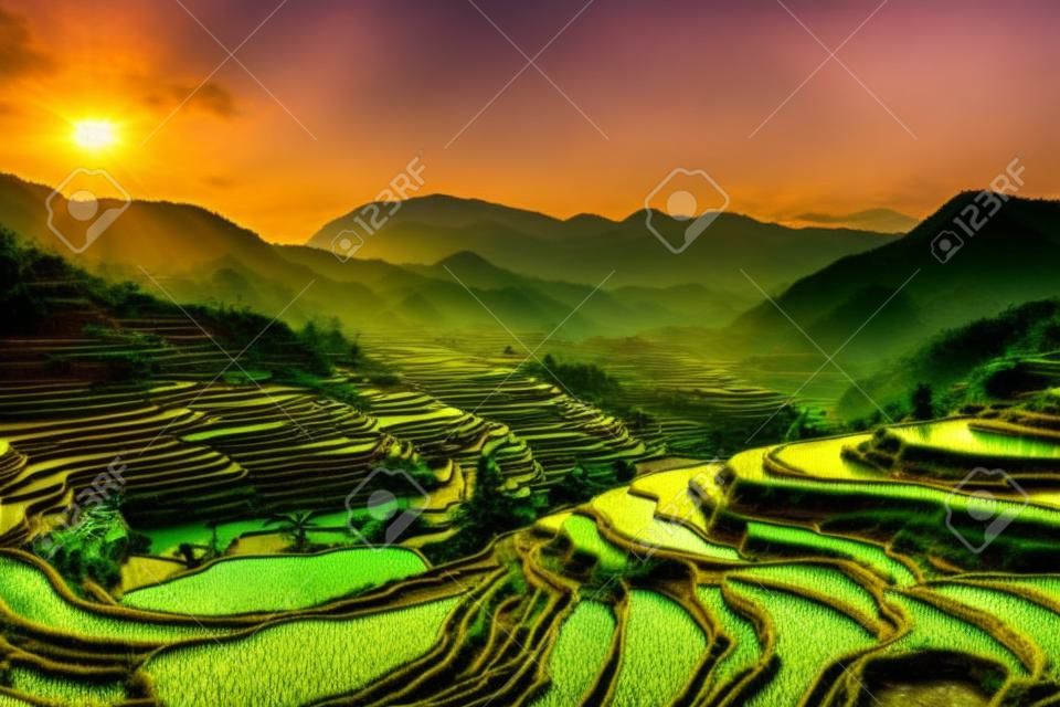 Rice terraces at sunset in Sapa, Lao Cai, Vietnam