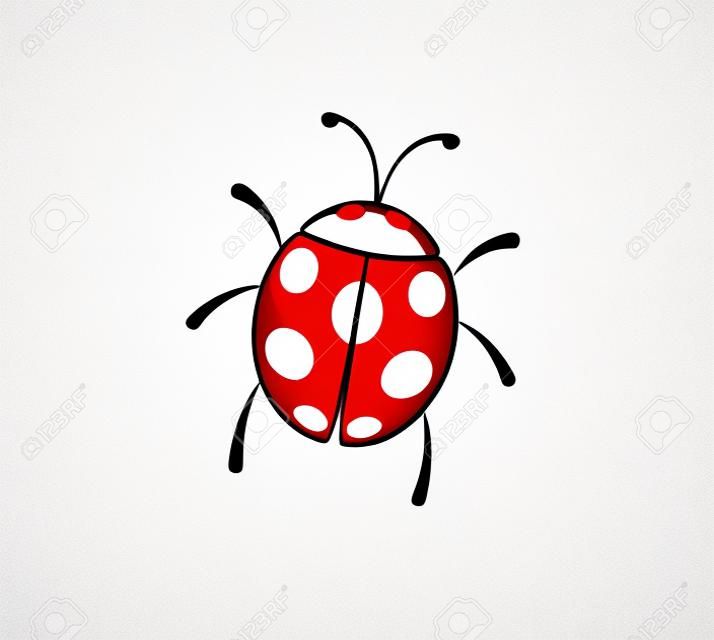 Illustration of ladybug on white background