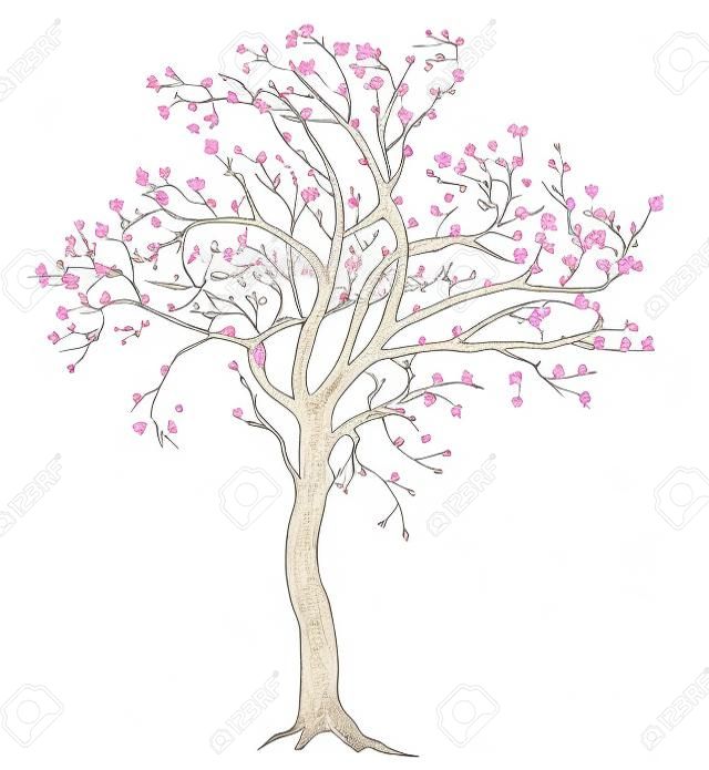 Isolated spring blooming tree illustration with detailed drawing bark for large wide-format printing