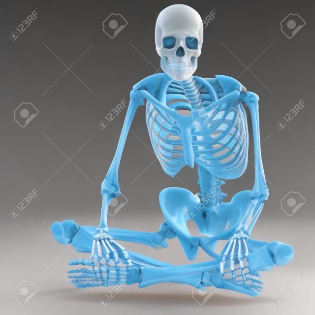 anatomical correct male skeleton. 3D rendering  