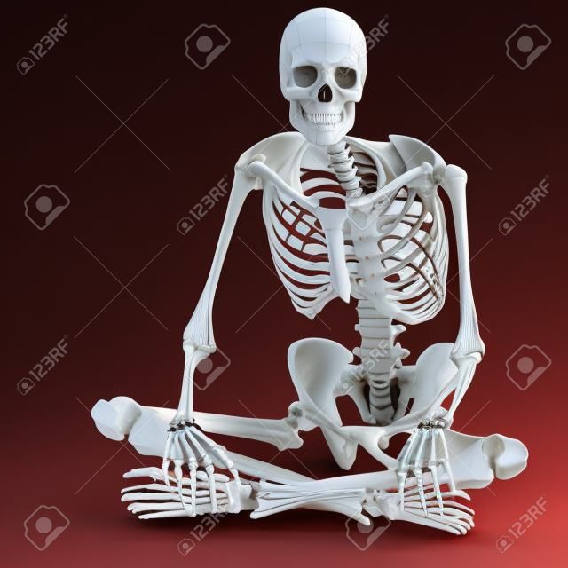 anatomical correct male skeleton. 3D rendering  