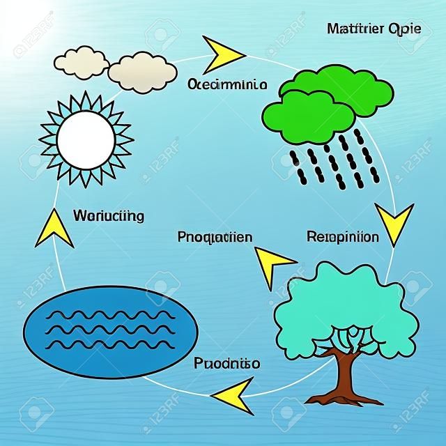 Representación esquemática del ciclo del agua en la naturaleza. Ilustración del ciclo del agua del diagrama. Ciclo de agua en el medio ambiente de la naturaleza.