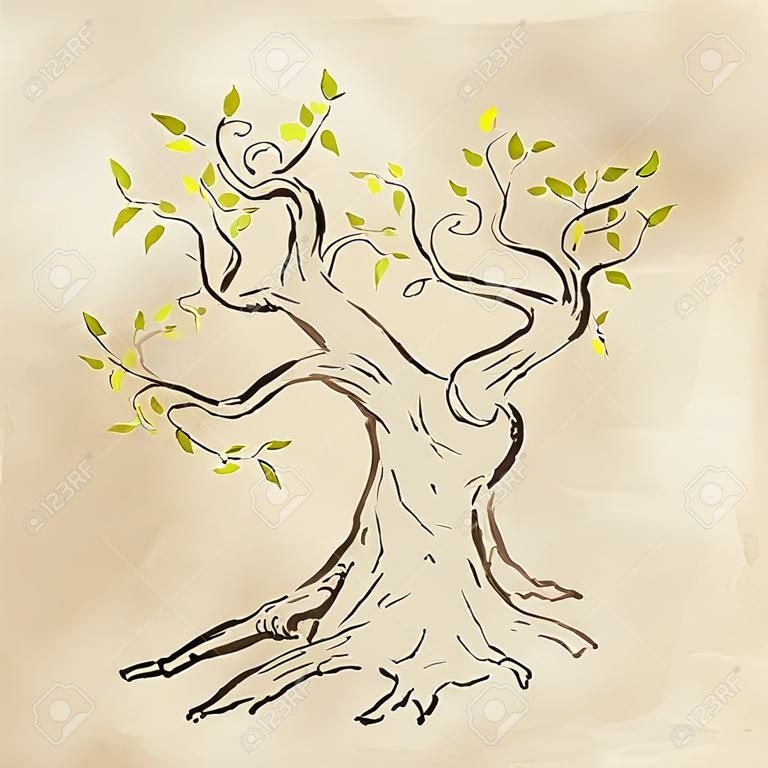 Vector hand drawn tree