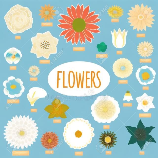 Set von abstrakten Flach Blumen. Vektor-Illustration