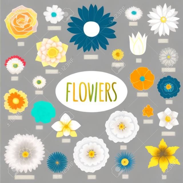Zestaw streszczenie płaskich kwiatów. Ilustracji wektorowych