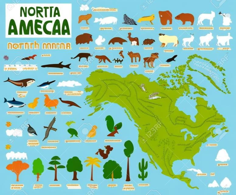 Mappa del pianeta e della fauna dell'America del Nord, elementi piatti. Set di animali, uccelli e vita marina. Crea la tua raccolta di infografici di geografia. Illustrazione vettoriale