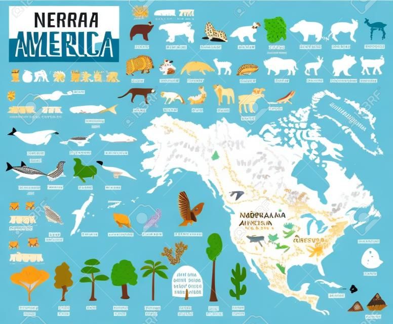 North America flora and fauna map, flat elements. Animals, birds and sea life big set. Build your geography infographics collection. Vector illustration