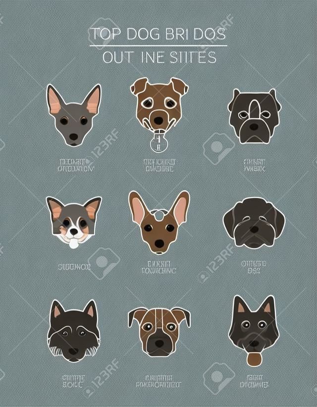 Razas de perros superiores. Colección de contorno de mascotas. Ilustración vectorial