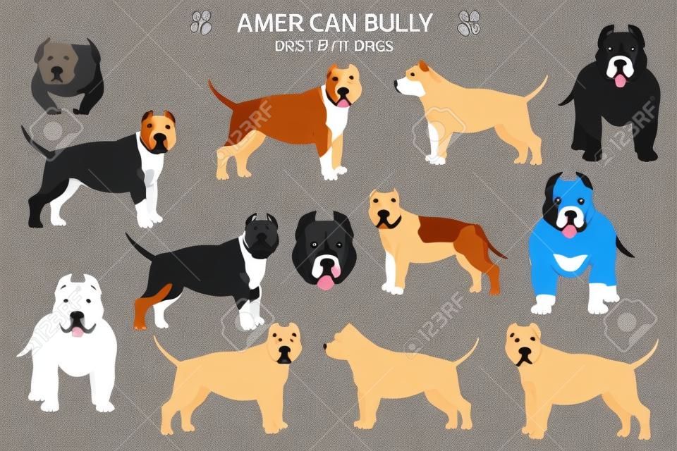 Cani di tipo pitbull. bullo americano. Diverse varianti di cani bullo colore del mantello impostati. Illustrazione vettoriale