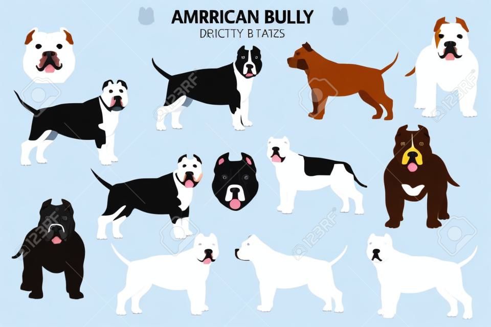 Cani di tipo pitbull. bullo americano. Diverse varianti di cani bullo colore del mantello impostati. Illustrazione vettoriale