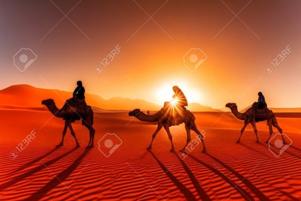 Three people riding Camels in the dessert during sunset