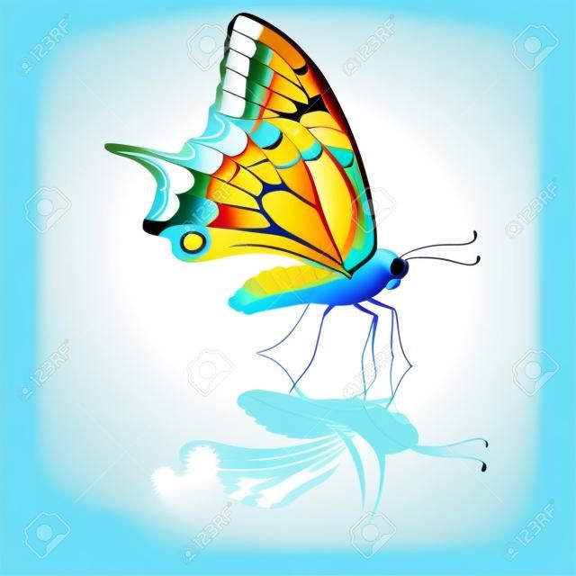 Mariposa tropical. Ilustración vectorial.