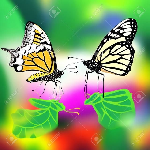 美麗的熱帶蝴蝶插圖。