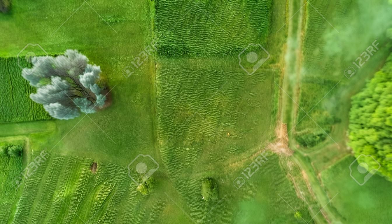 Tarlaları, ormanları ve çayırları ile Aachen'in üstündeki yaz boyunca Drone uçuşu ve topview