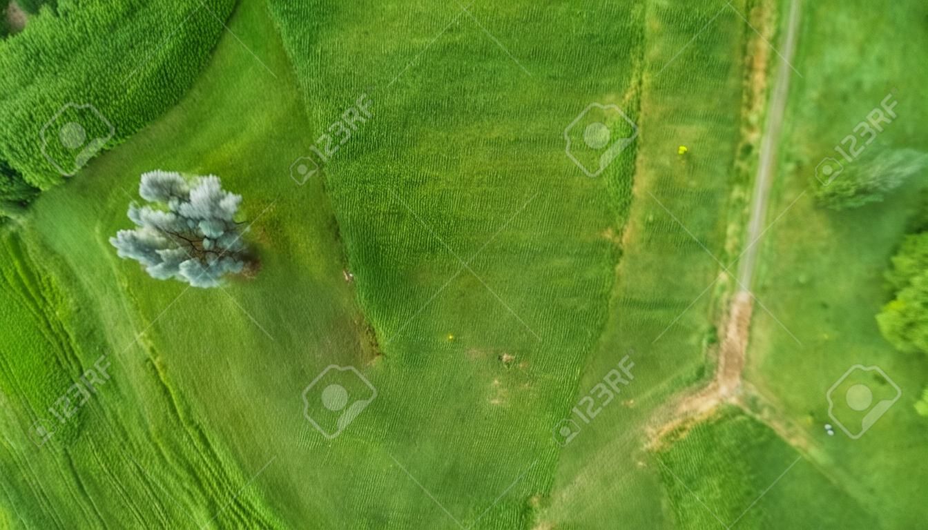 Le vol Drone et la topview au cours de l'été ci-dessus sont d'Aix-la-Chapelle avec ses champs, ses forêts et ses prés