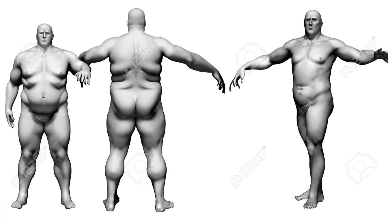 Le corps humain en surpoids - Body Fat Man - modèle isolé - 3D render