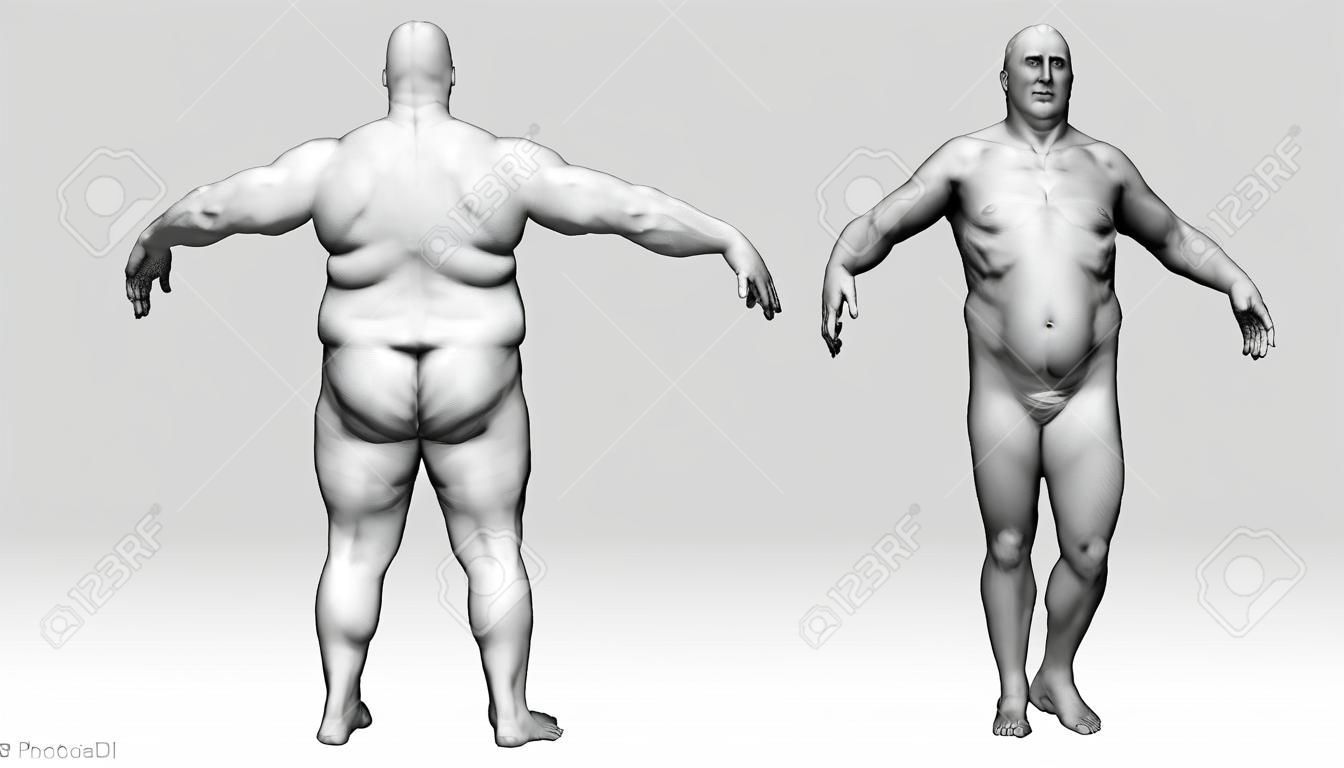 Le corps humain en surpoids - Body Fat Man - modèle isolé - 3D render