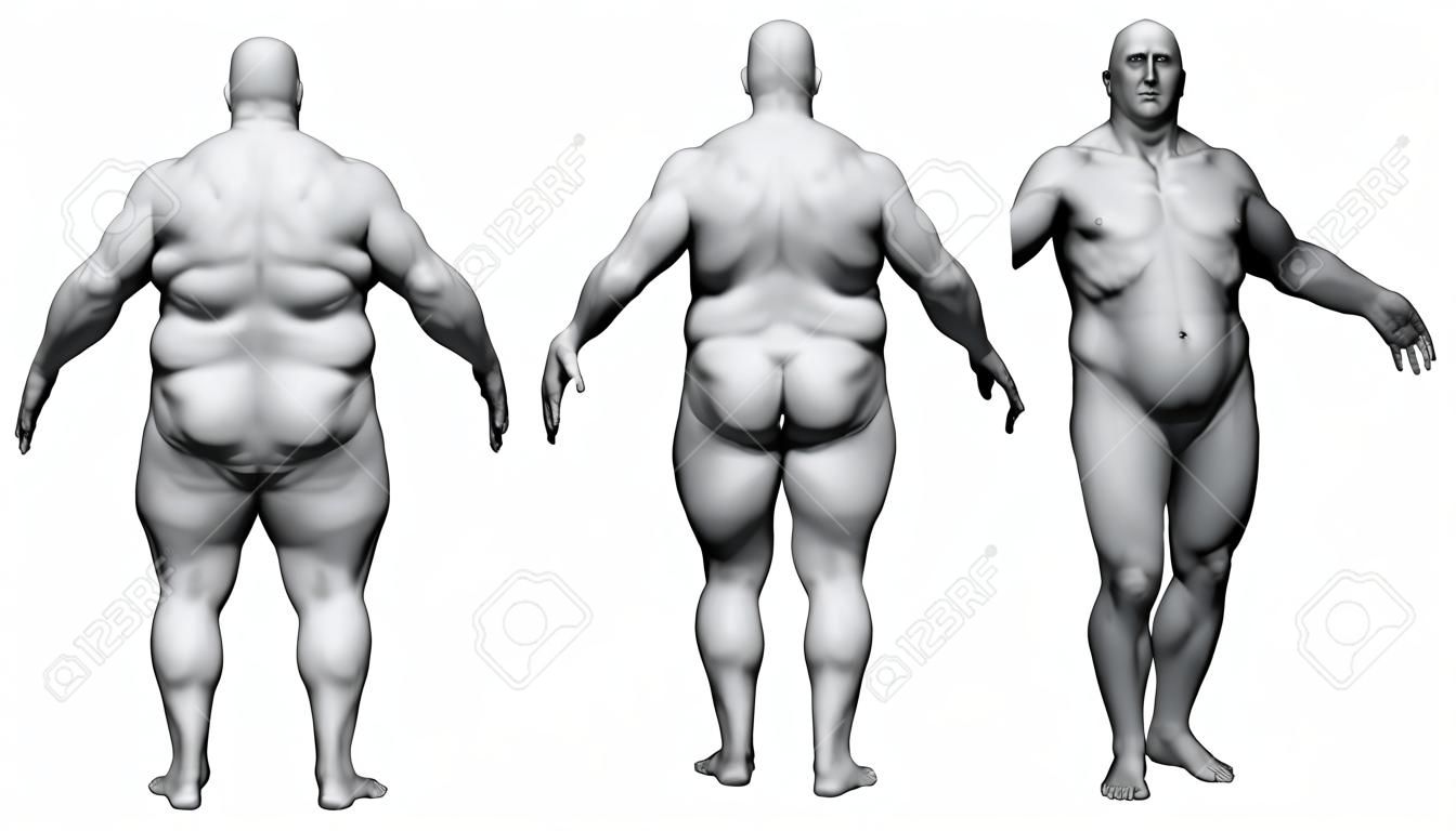 Il corpo umano in sovrappeso - uomo grasso corporeo - modello isolato - 3d render