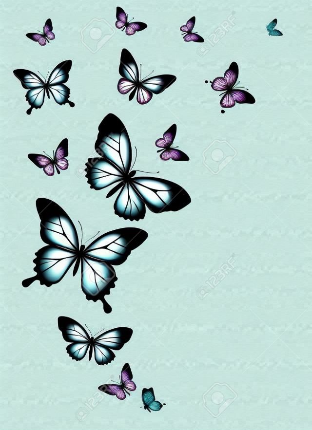 borboletas design