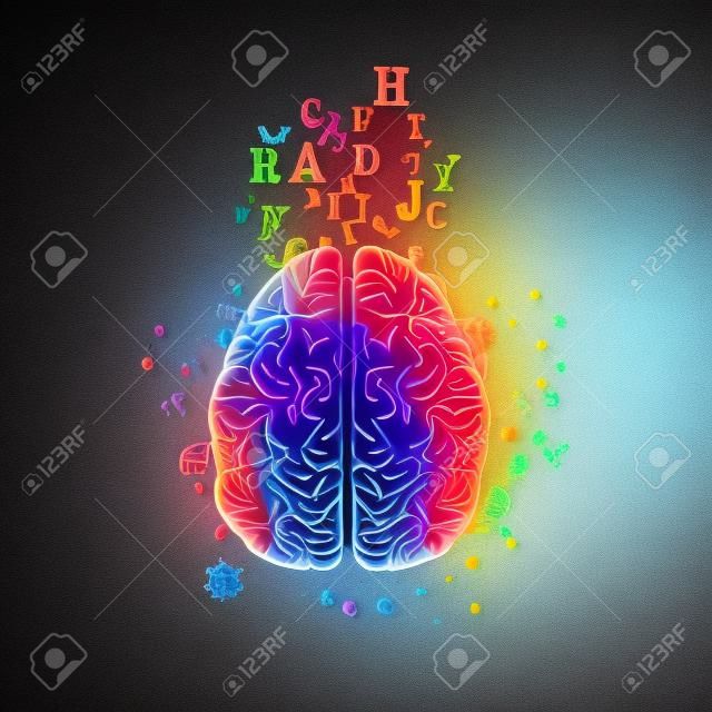 Colorful human brain with alphabet letters isolated