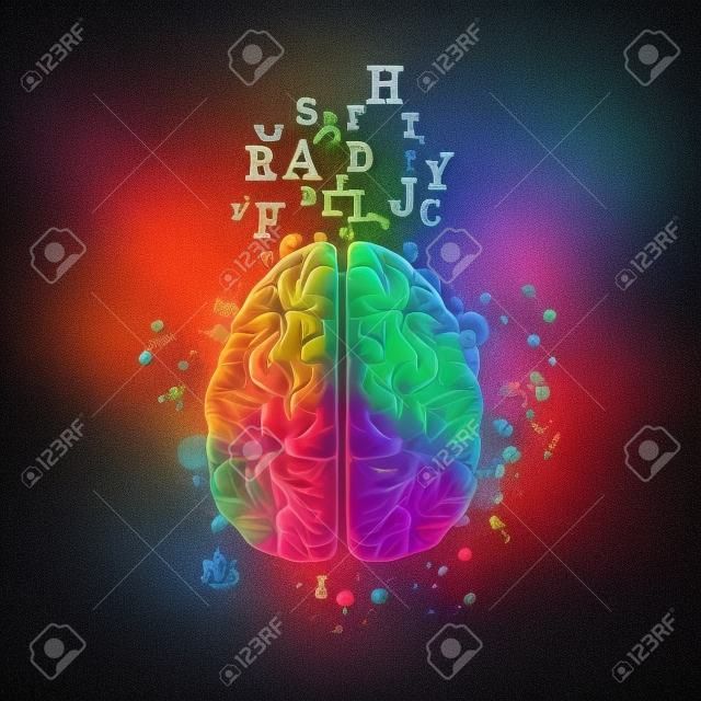 Colorful human brain with alphabet letters isolated