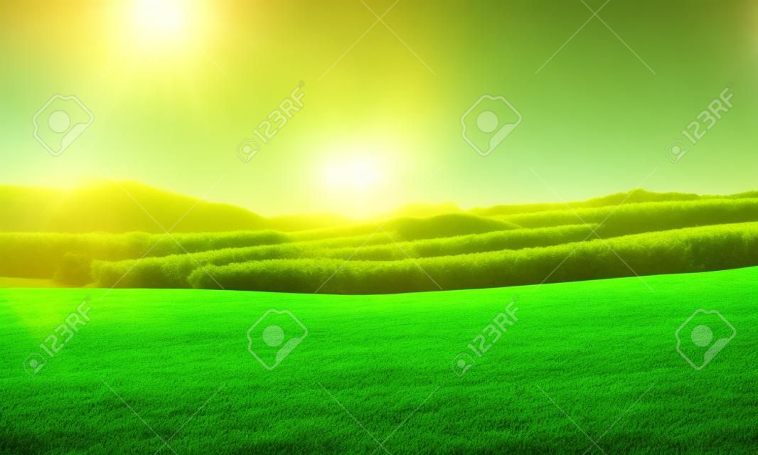 paysage naturel avec champ vert dans les lumières du soleil d & # 39 ; été