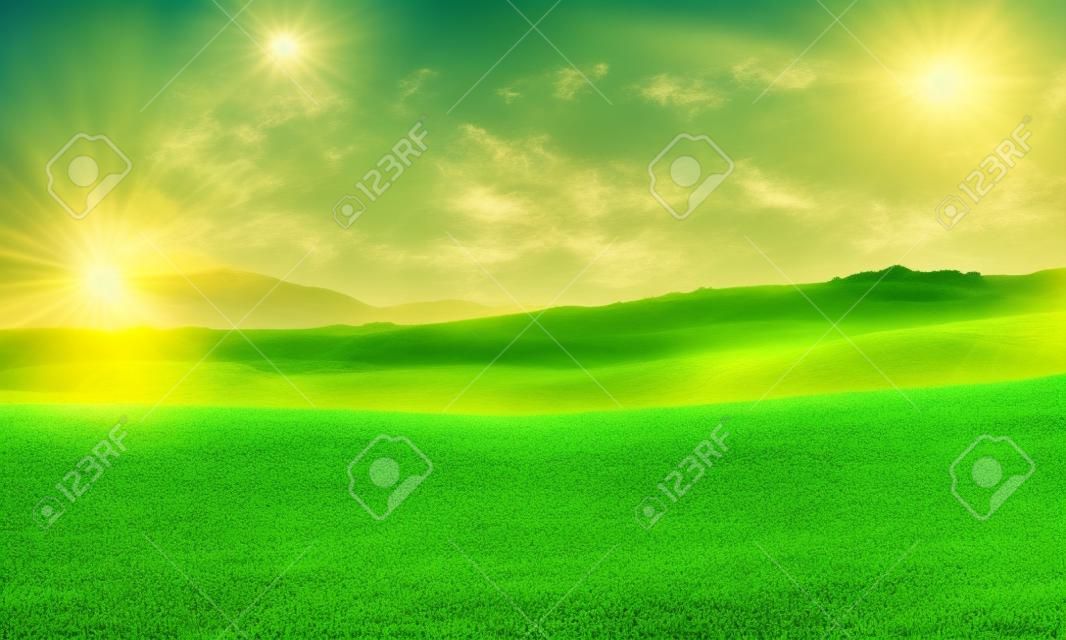 paysage naturel avec champ vert dans les lumières du soleil d & # 39 ; été