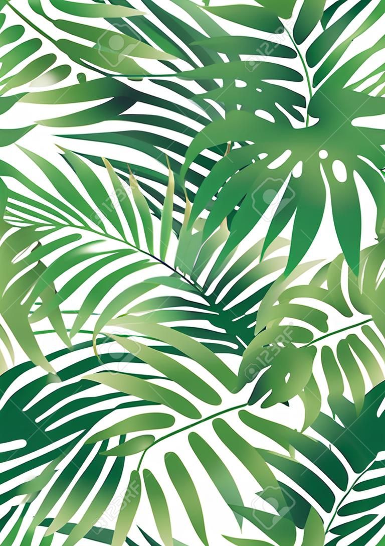 Green tropical palm tree leaves background .