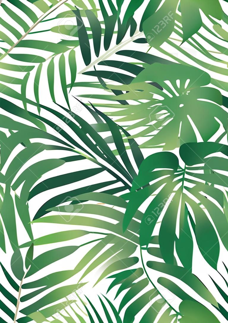 Green tropical palm tree leaves background .
