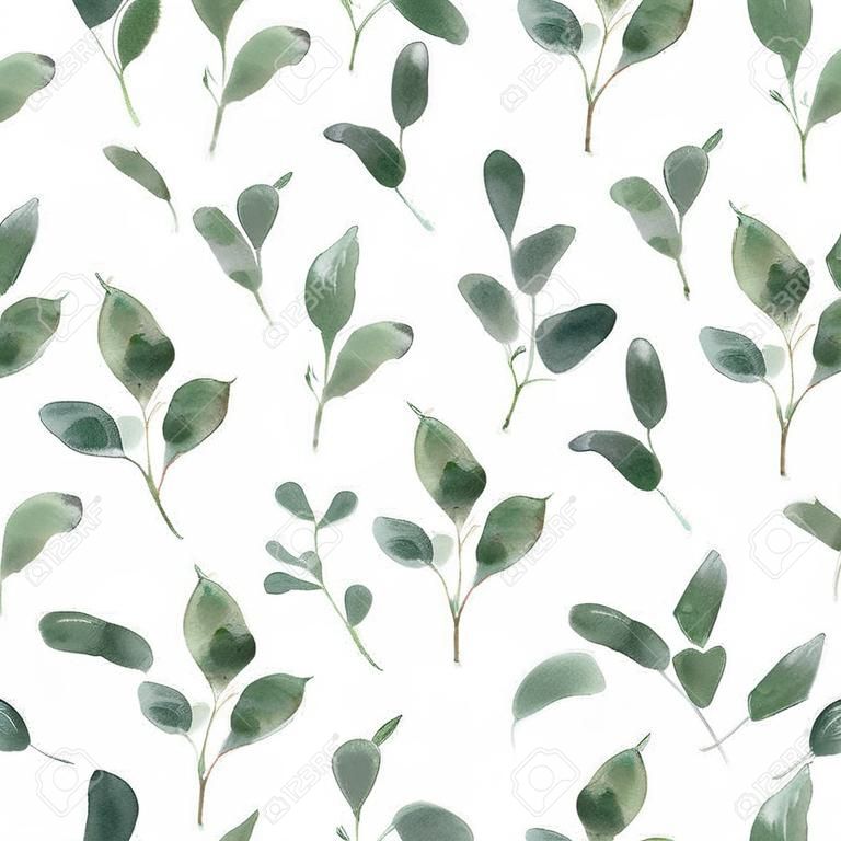 Acuarela de eucalipto hoja de patrones sin fisuras. Fondo botánico vintage.