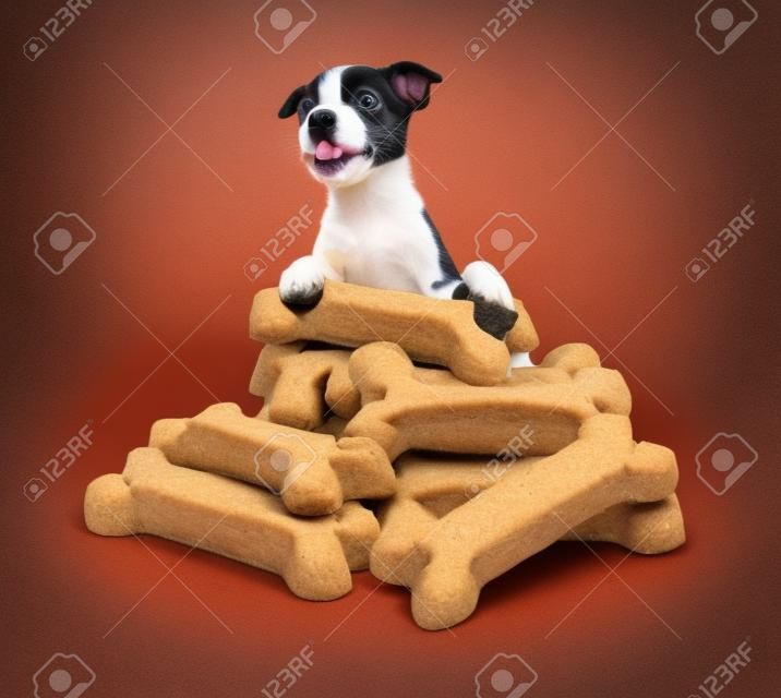 foto divertida de un perrito lindo que se coloca detrás de una pila gigante de golosinas y galletas de perro se lame los labios