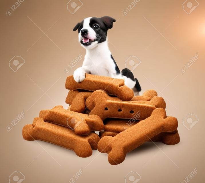 foto divertida de un perrito lindo que se coloca detrás de una pila gigante de golosinas y galletas de perro se lame los labios
