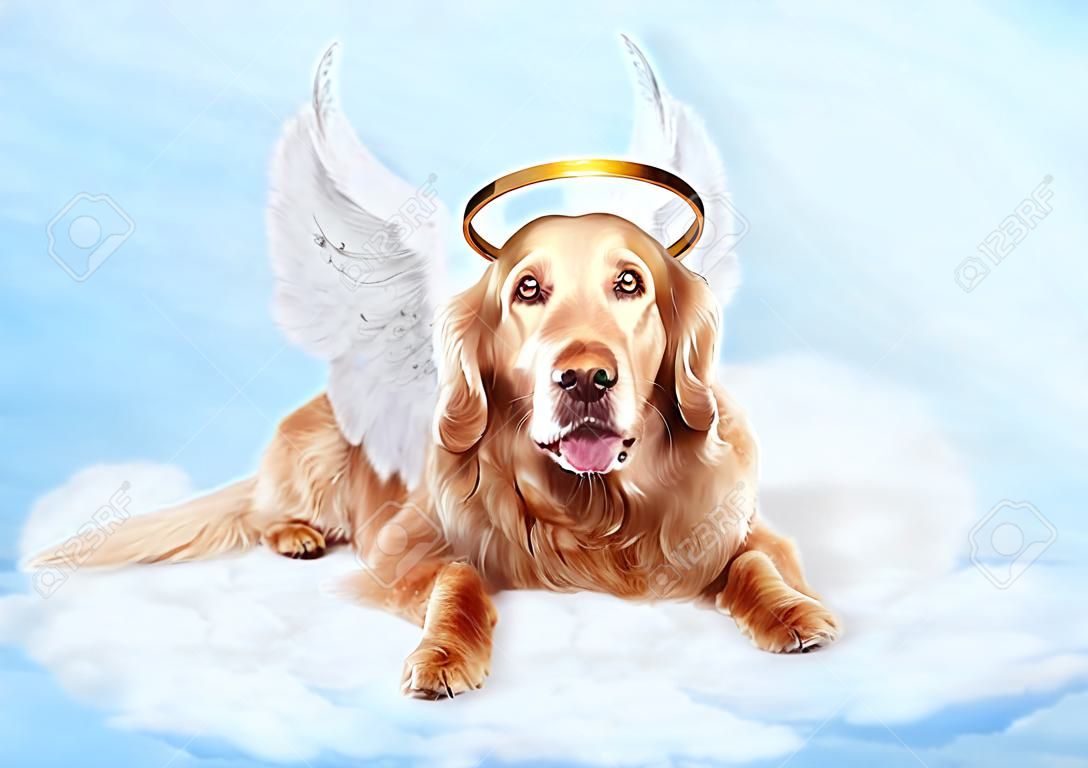 老狗穿著天使的翅膀和金色光環鋪設雲在天上