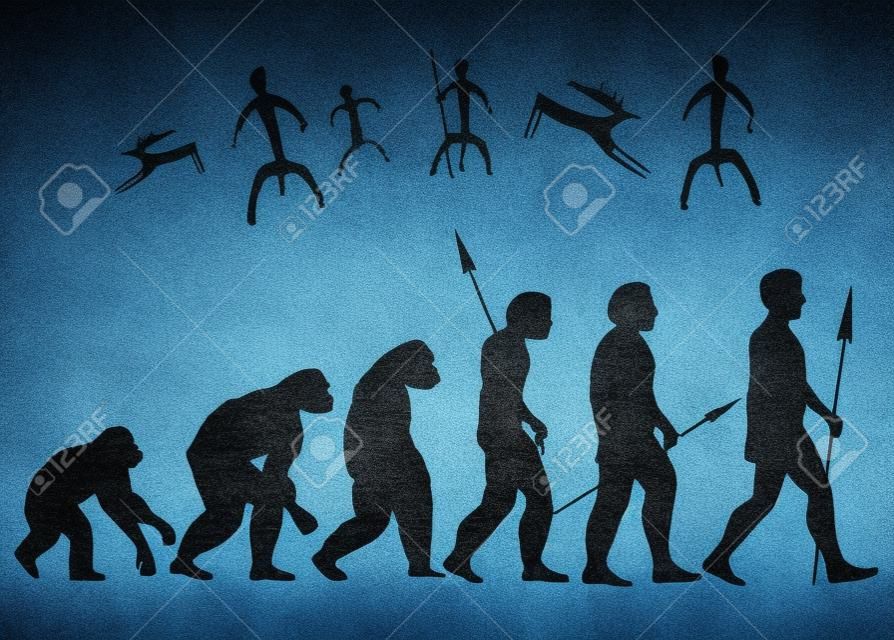 L'évolution humaine