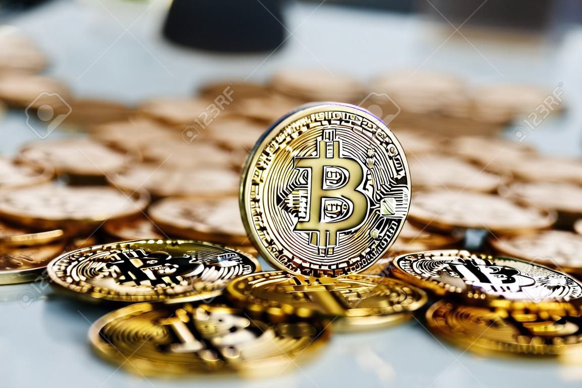 Digital currency physical metal bitcoin coin on the gold bitcoins. Gold money concept.