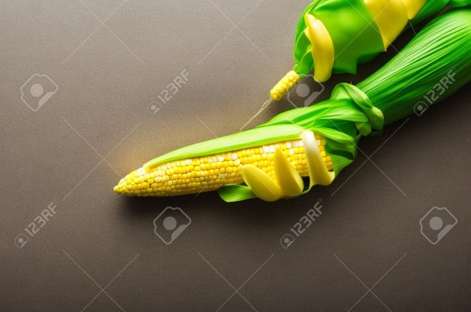 Corn in genetic engineering labo, gmo food concept.