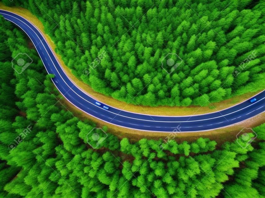 Drone view on the road in the forest