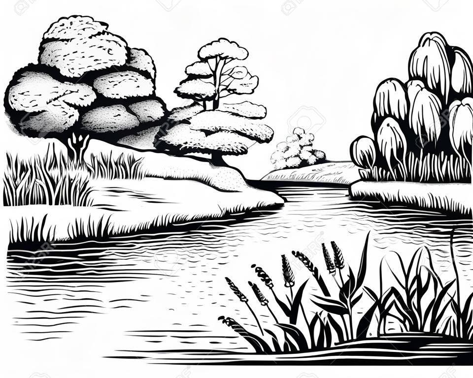 Paysage de vecteur rivière avec des arbres et des plantes aquatiques, illustration dessinés à la main.
