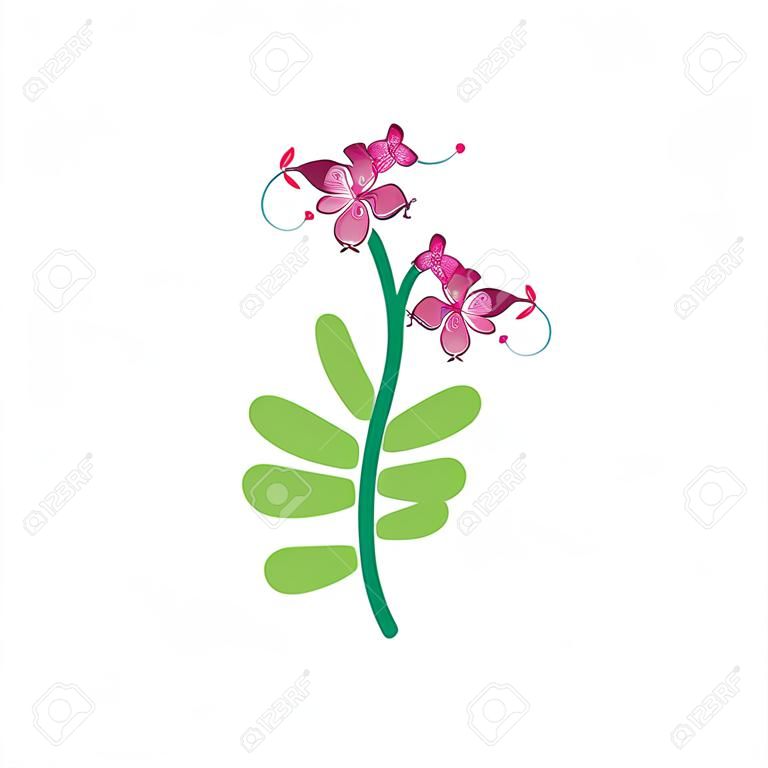 Elementos de design floral estêncil decoração original com ramos de flores tropicais exóticas