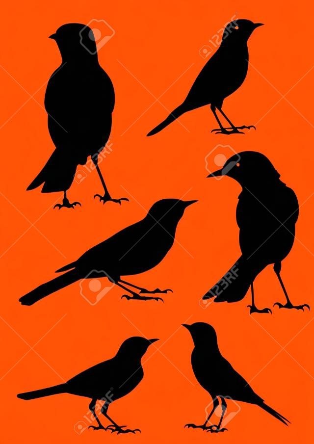 Птицы силуэт - 6 различных векторных иллюстраций