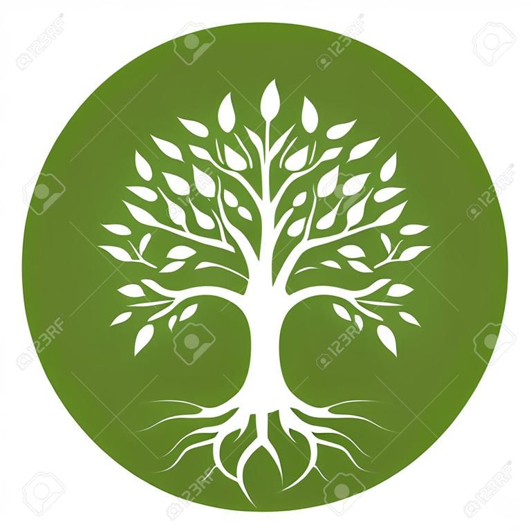 Sylwetka drzewa z korzeniami i liśćmi w okręgu. Kolor biały na zielonym tle. Wektor ilustracja logo.