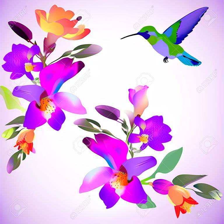 Vector de fondo saludo lila con revoloteando colibrí con y hermosas flores freesia