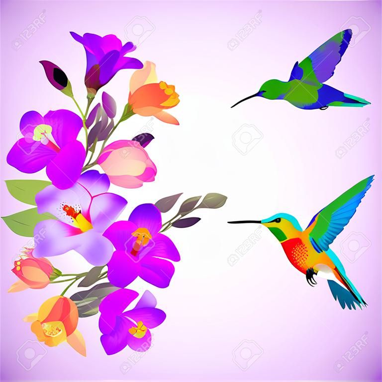 Vector de fondo saludo lila con revoloteando colibrí con y hermosas flores freesia