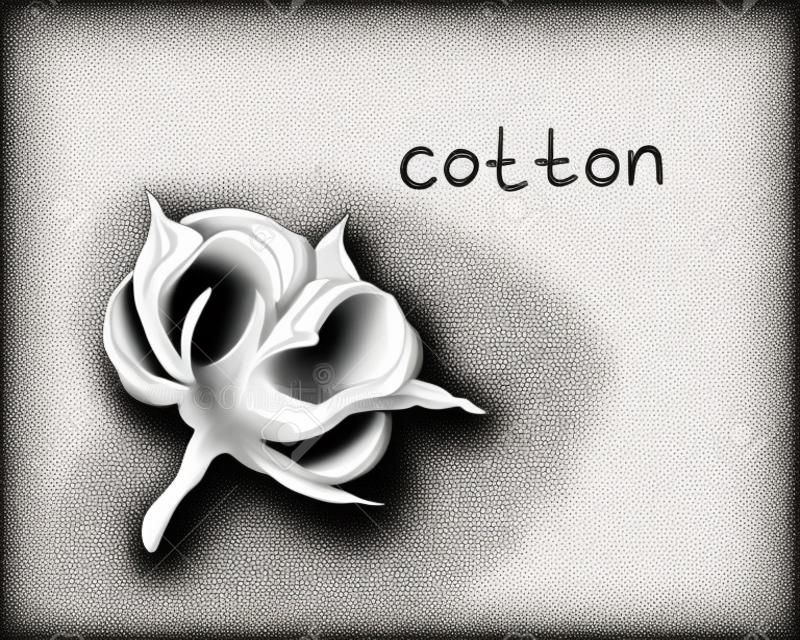 Cotton Icon - Arte vetorial de stock e mais imagens de Algodão