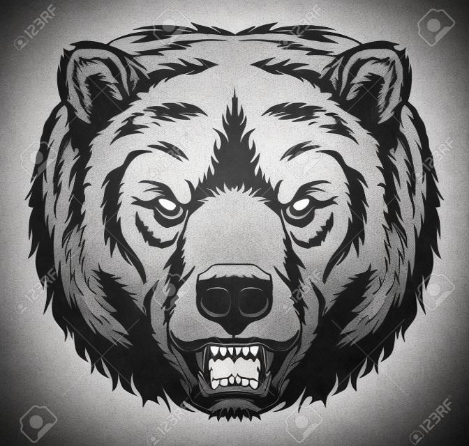 Monochromatyczna głowa niedźwiedzia gniewu